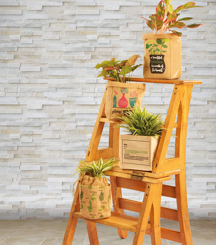 Green Thumb Planters