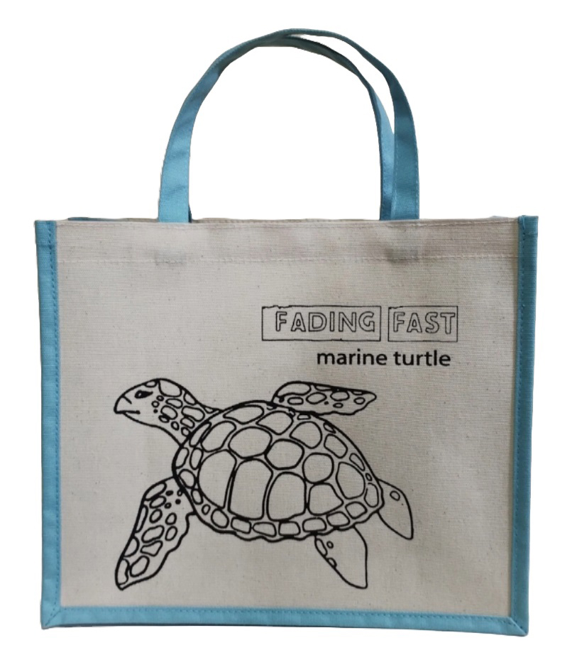 Turtle Kids Colouring Bag.jpg